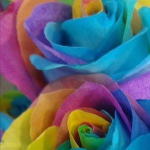 Meet your Posher, Jasdeep